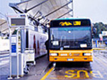Bus Schedule (Alibus): Aeroporto Capodichino - Piazza Municipio (Molo Beverello).