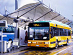 Bus Schedule (Alibus): Aeroporto Capodichino - Piazza Municipio (Molo Beverello).